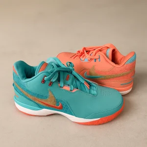 Nike Zoom LeBron NXXT Gen